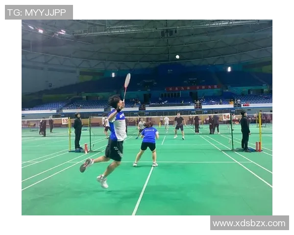 赛后分析：深圳羽毛球队与北京羽毛球队的团队协作与战术对比探讨